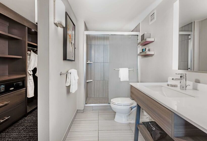 酒店 Sonesta Denver Downtown