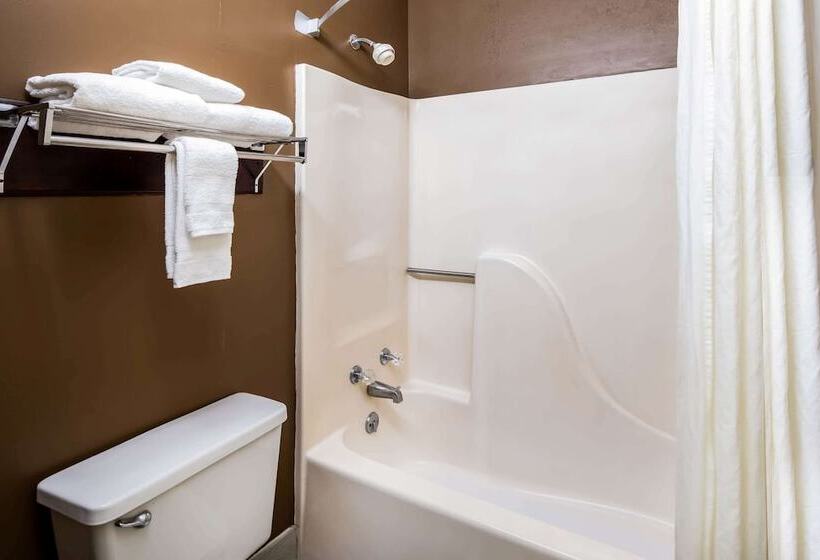 ホテル Super 8 By Wyndham Gaffney