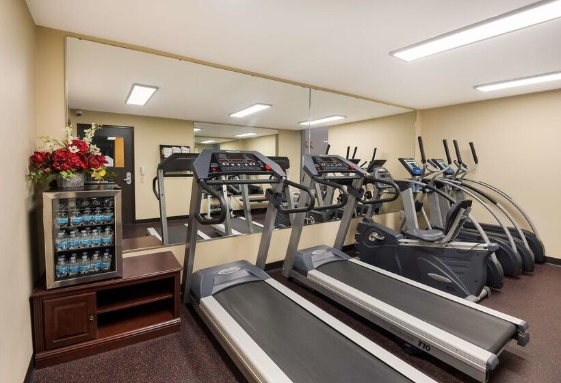 Surestay Plus Hotel By Best Western Jasper