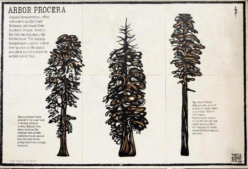 호텔 The Redwood Riverwalk, A Boutique