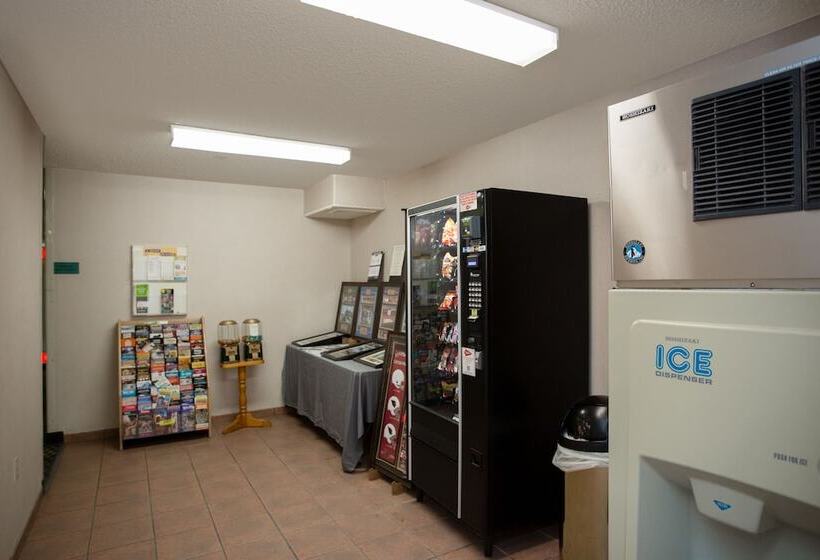 ホテル Vagabond Inn Executive