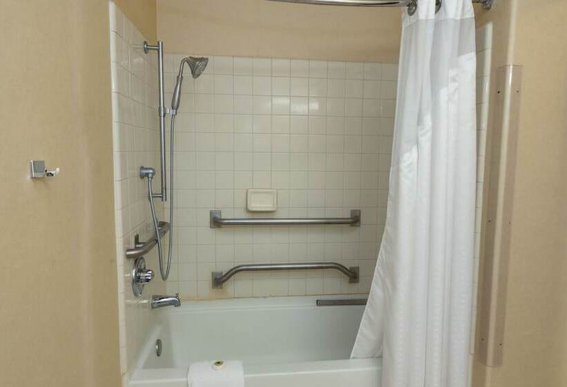 ホテル Vagabond Inn Executive