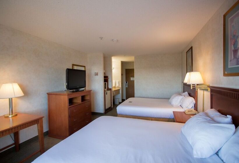 ホテル Vagabond Inn Executive