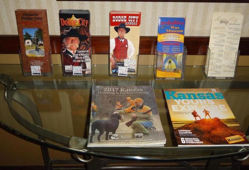 Отель Windsor Inn & Suites