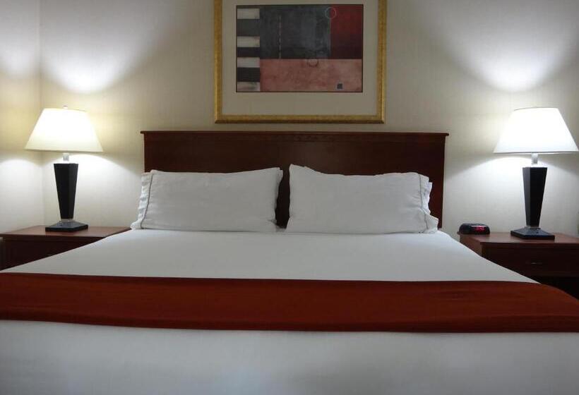 Отель Windsor Inn & Suites