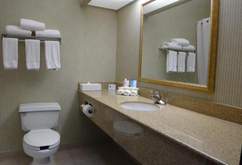 Отель Windsor Inn & Suites