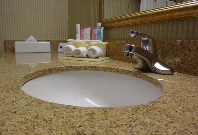 Отель Windsor Inn & Suites