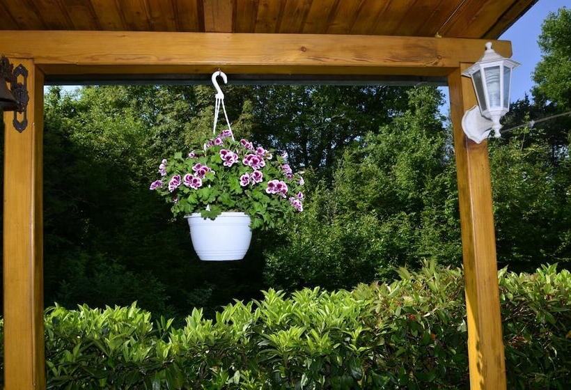 Apartment Blumen Oase