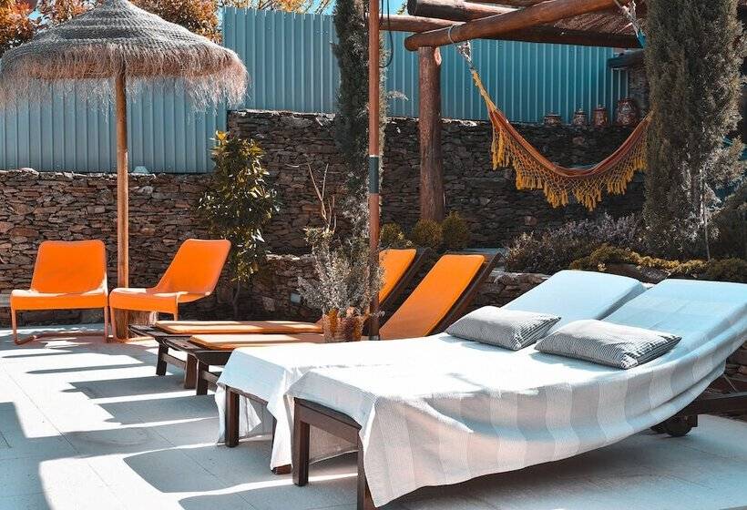 Feel Discovery Douro Janja