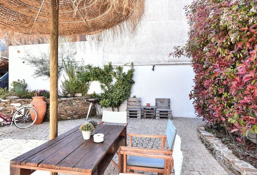 Feel Discovery Douro Janja