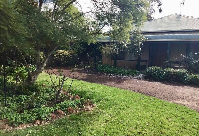 Discover The Charm Of Hakea Haven