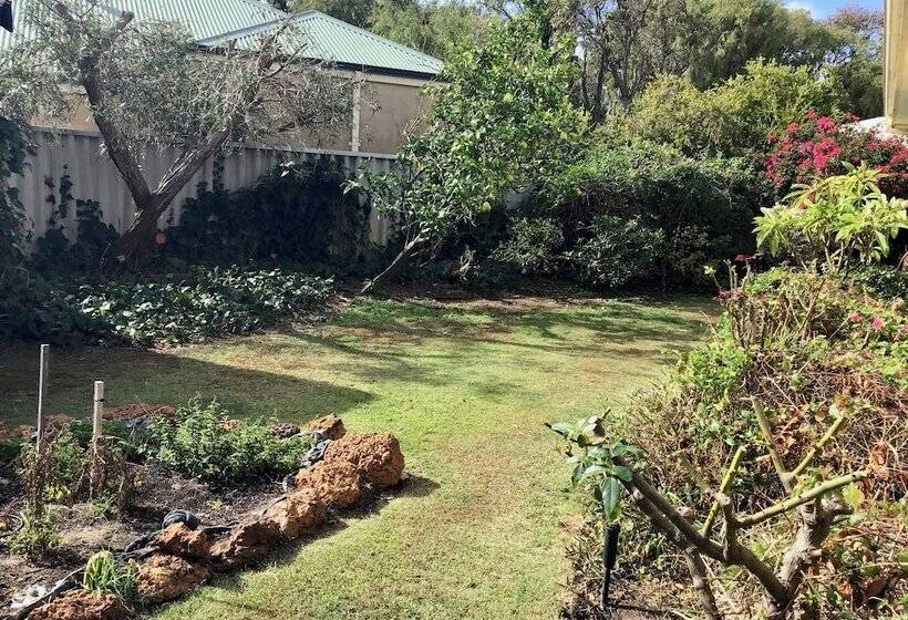 Discover The Charm Of Hakea Haven