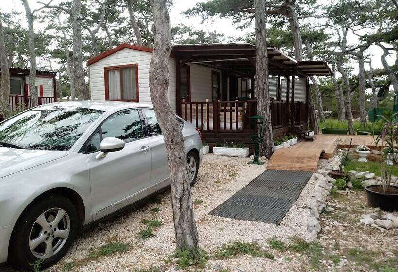 בית מלון כפרי Kamp Planik  Campsite