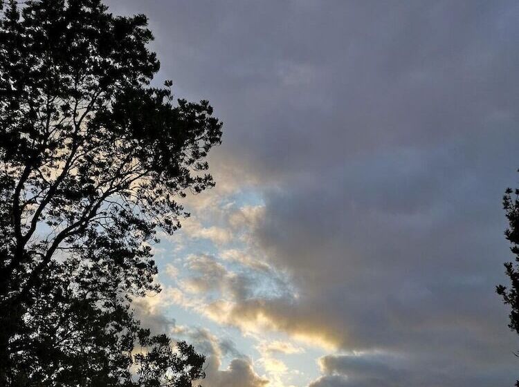 Landhaus Kaisershof   Ferienwohnungen Auf Dem Land