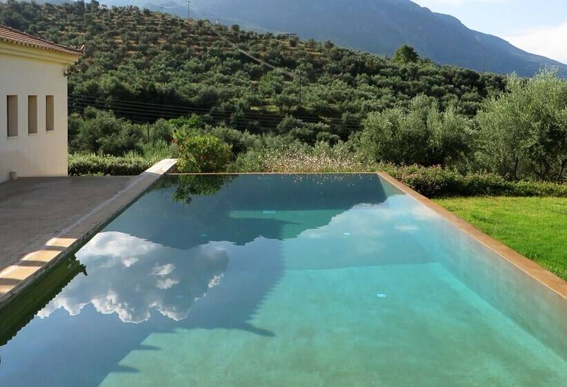 Luxurious Sea & Olive Private Villa   Pool