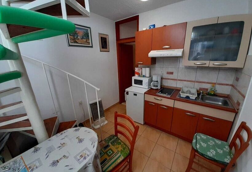 Rosmarinus Rubic Studio