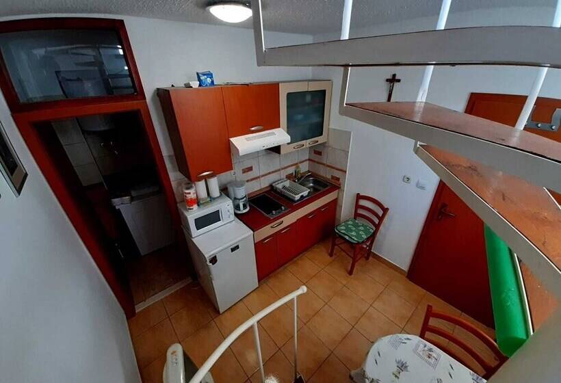 Rosmarinus Rubic Studio