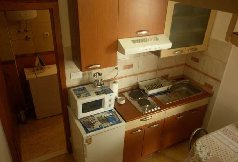 Rosmarinus Rubic Studio