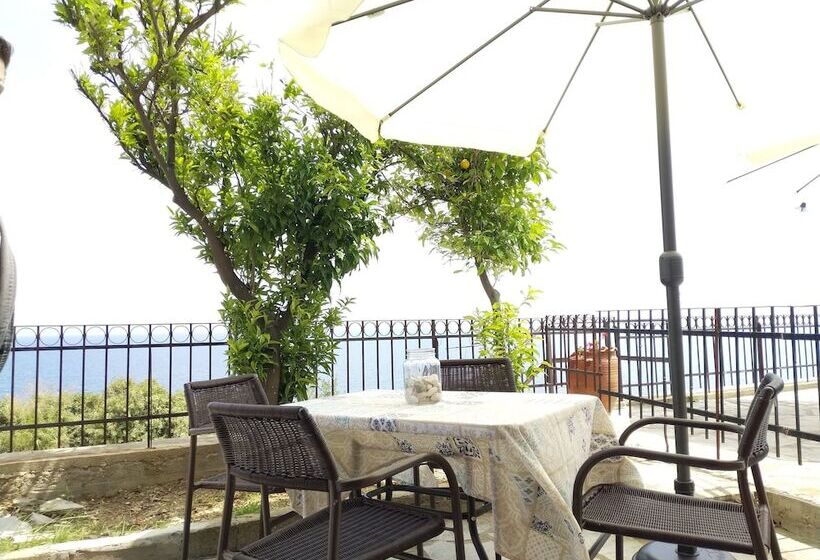 Zennova #2 Mount Athos & Sea View