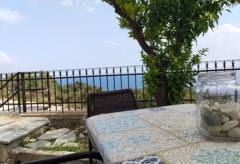 Zennova #2 Mount Athos & Sea View