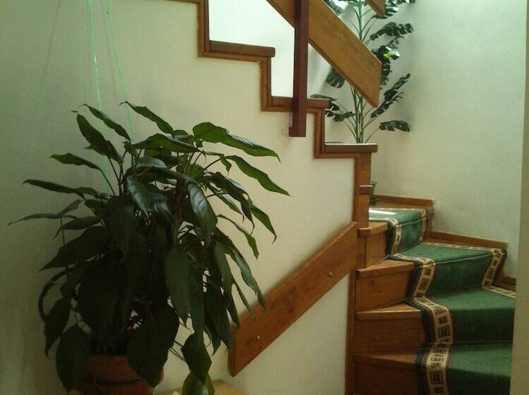 Apartments Villa Velin