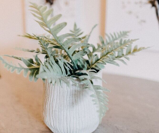 Best House, Central Luxury Apartment, Agiou Nikolaou, Patra