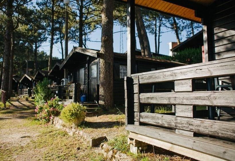 בית מלון כפרי Camping Rural Ria De Arosa 2