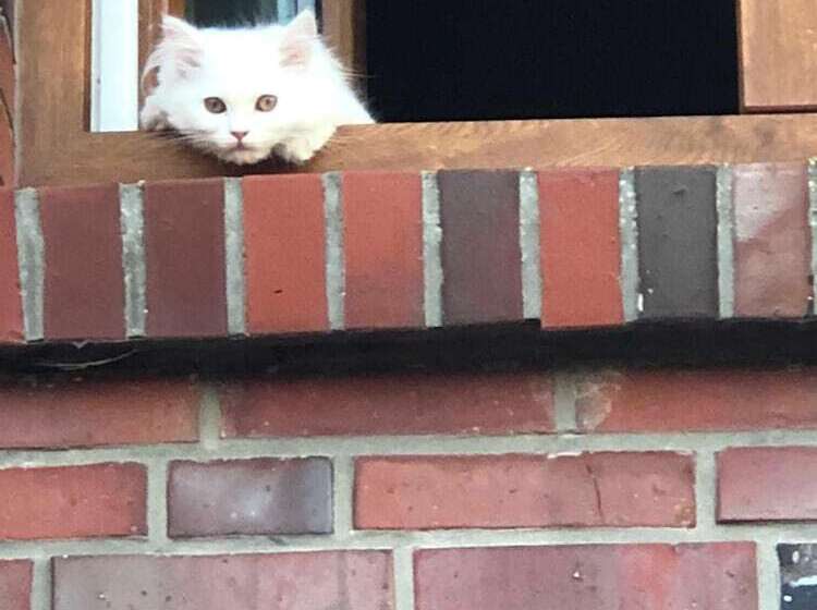 Pension Ferienwohnung Hillrichshof