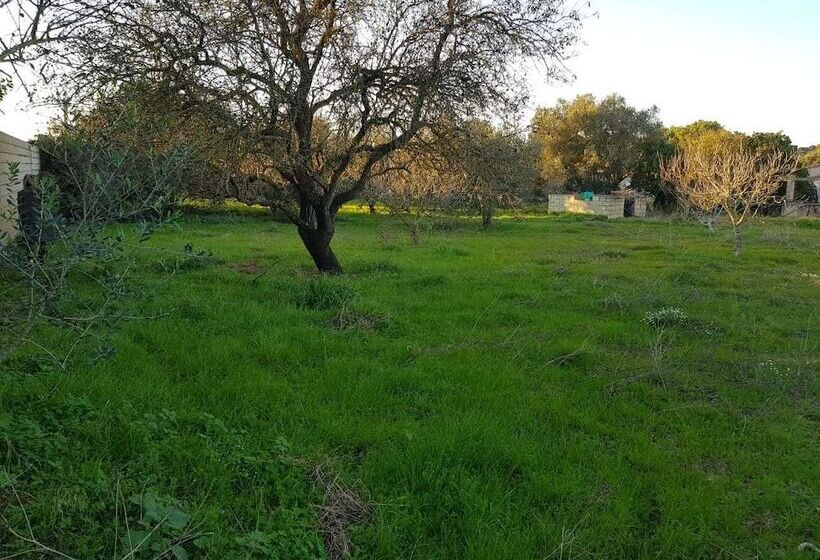 Tiny Casa   Mobile House