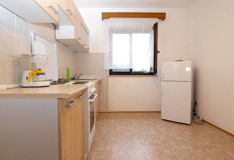 Apartments Dvorine 1210