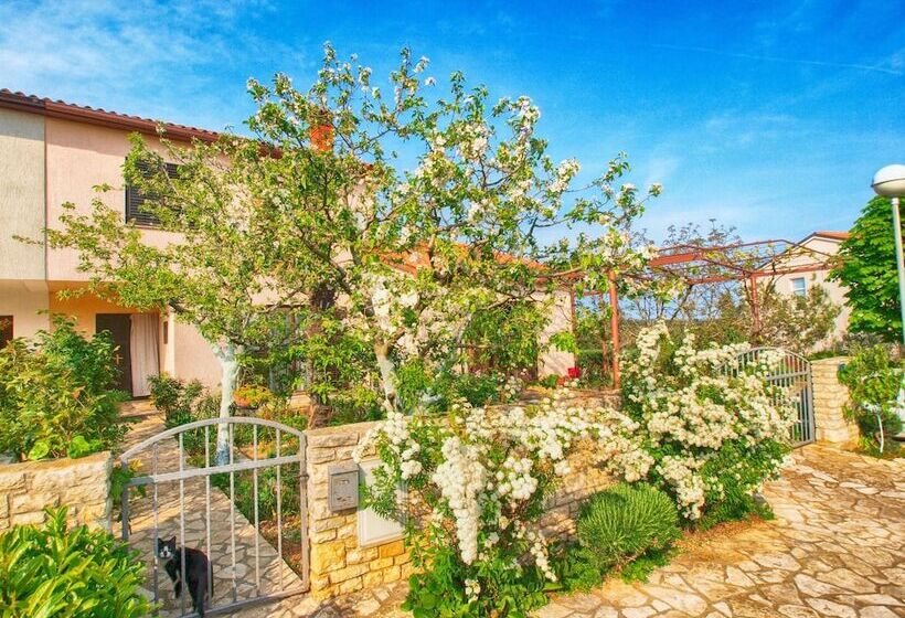 Apartments Dvorine 1210