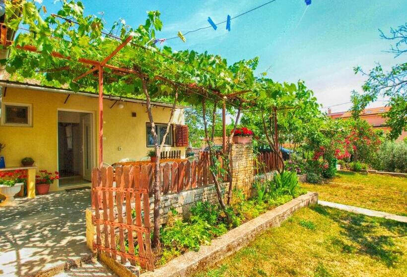 Apartments Pavao 1402