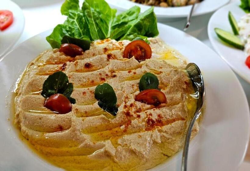 Отель Mimoza Beach