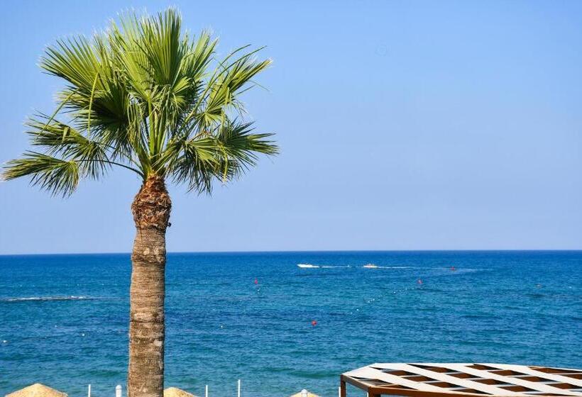 Отель Mimoza Beach