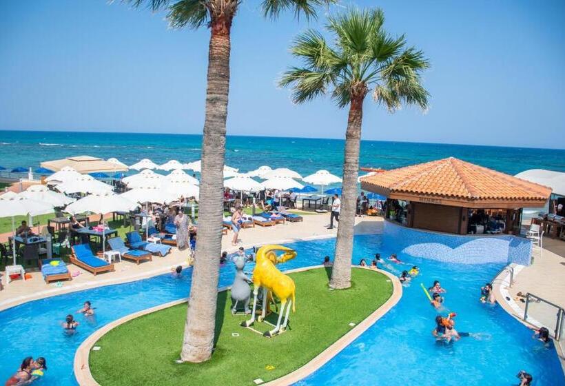 Отель Mimoza Beach