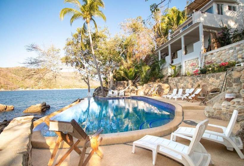 فندق Pura Vida Wellness Retreat