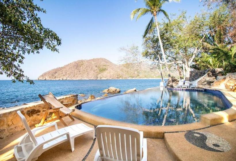 فندق Pura Vida Wellness Retreat