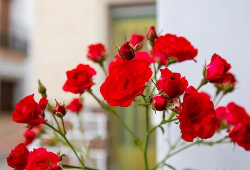 La Casa De Sally  Vèlez Blanco