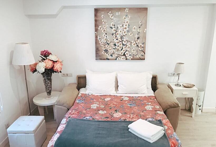 פנסיון Mirador Catedral De Santiago