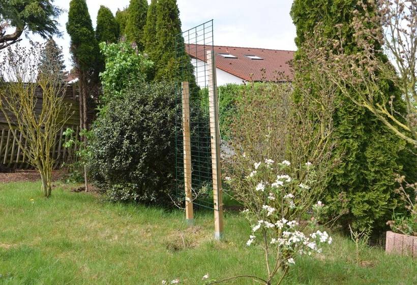 ペンション Mountain View Rooms