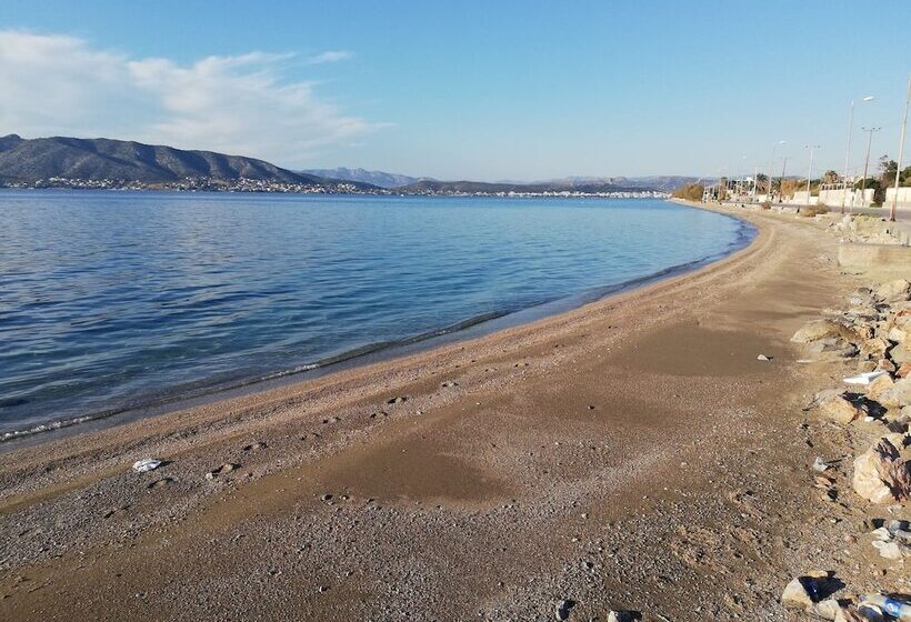 Salamina S Apartment