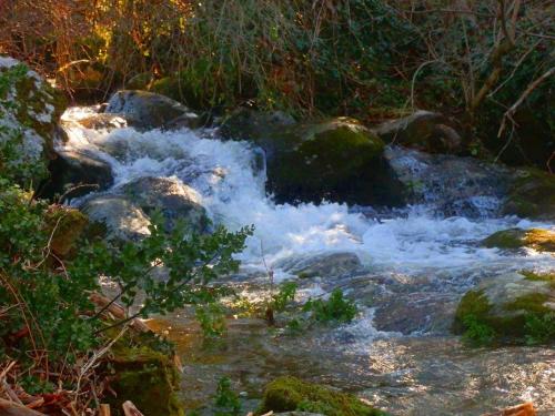 Apartamento Turistico Navalinda