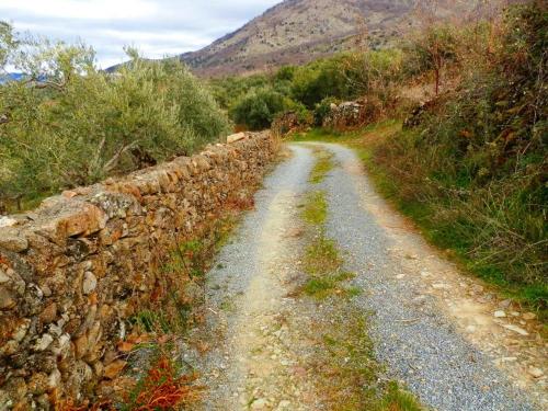 Apartamento Turistico Navalinda