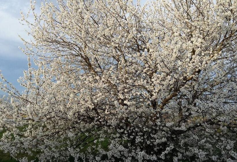 住宿加早餐 Au Dessus De Parady