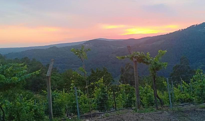Casa Da Viña   Ribeira Sacra