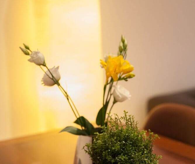 Heidelberg Apheartments