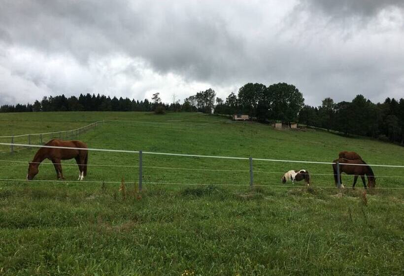 فندق Aschberg Chalet