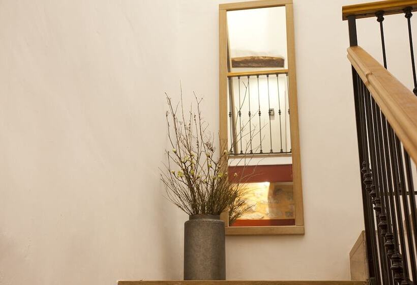 My Rooms Artà Adults Only By My Rooms Hotels Ti