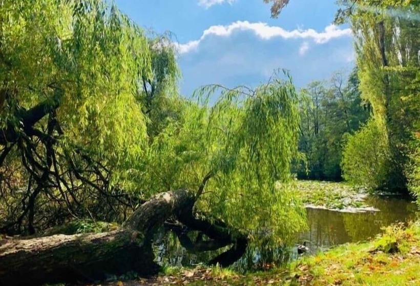 Пансион Gästezimmer Am Weinberg