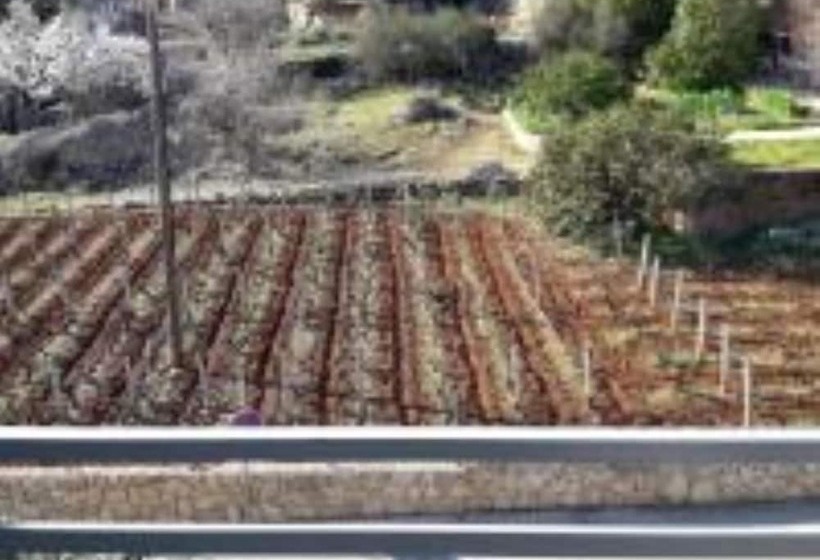 פנסיון Mediteran Hvar   Modern Rooms And Restaurant, B&b